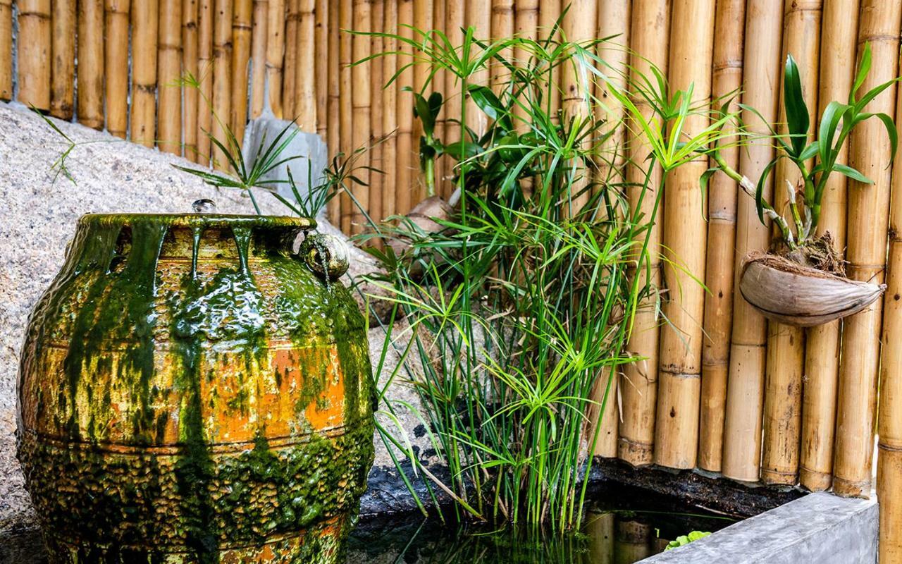 Joy'S Homestay Ko Tao Exterior foto
